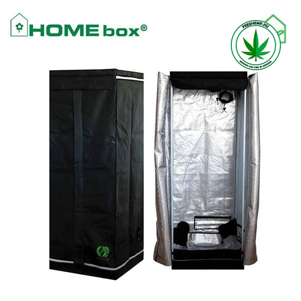 Homebox Homelab